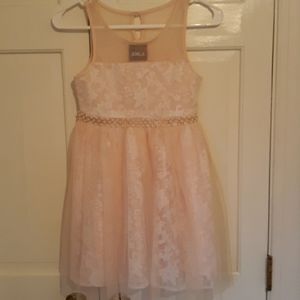 Little Pink Lace Dress